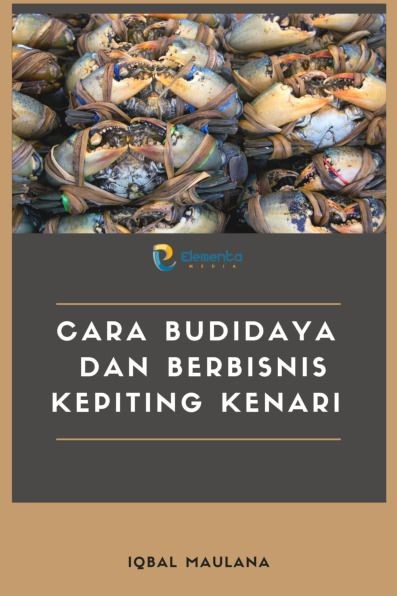 Cara Budidaya dan Berbisnis Kepiting Kenari